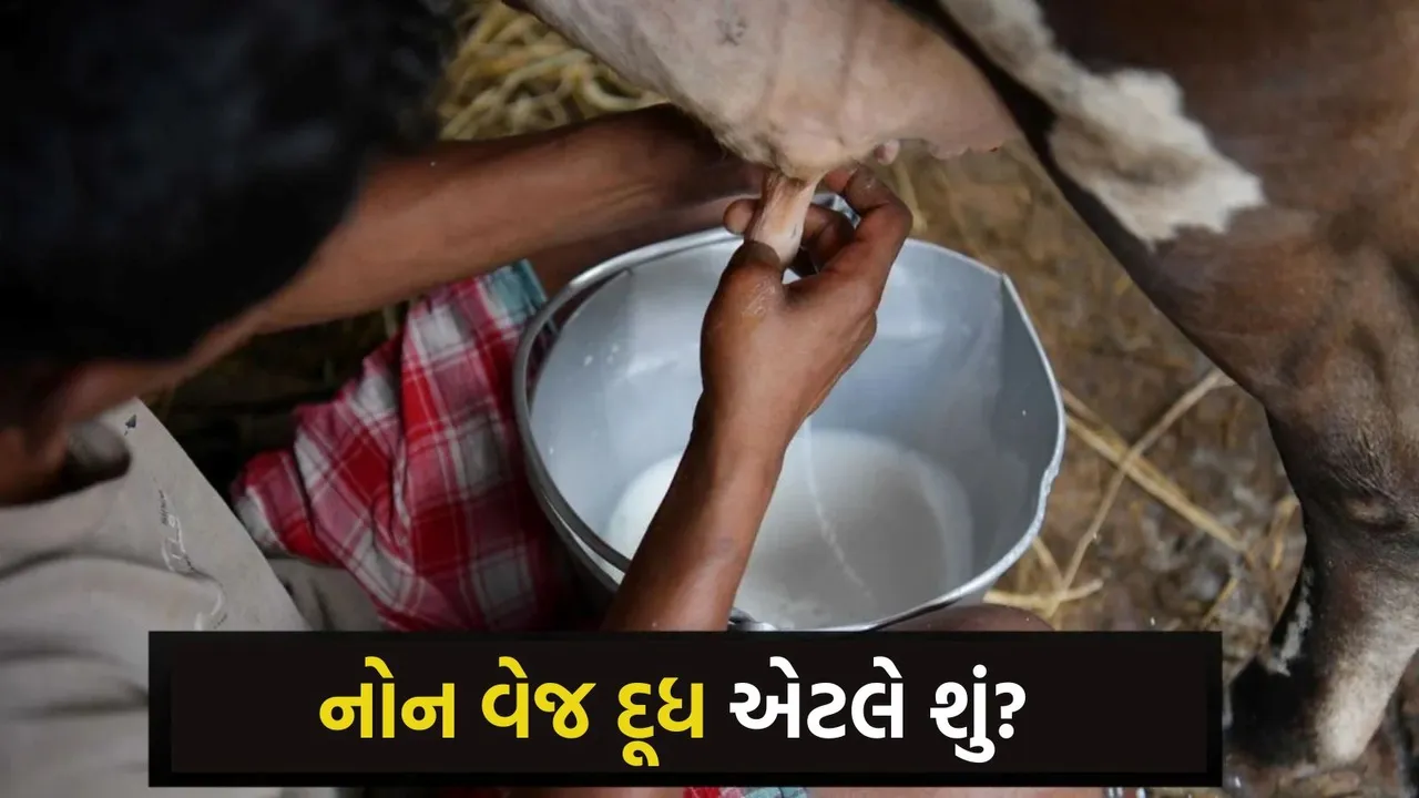 non veg milk, what is non veg milk