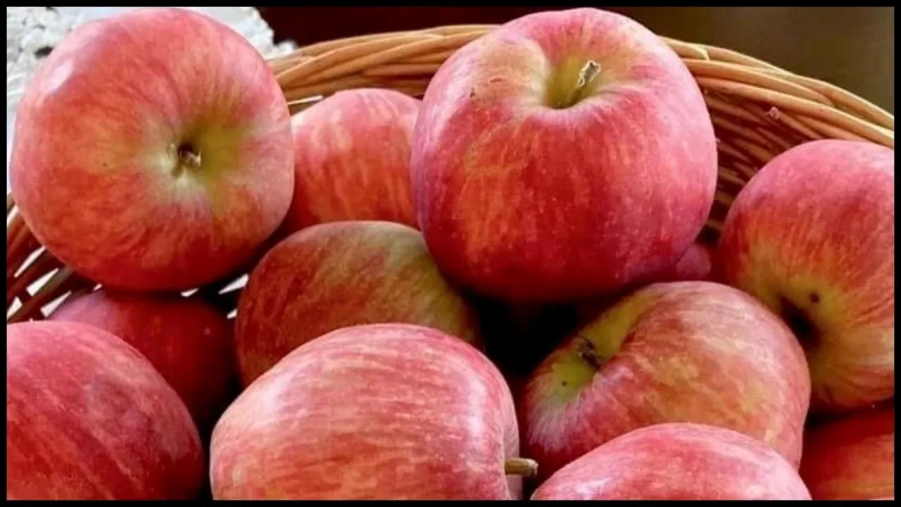 apple, સફરજન