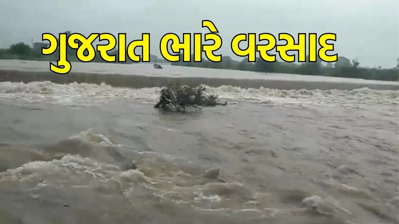 Today Gujarat heavy rain news in gujarati