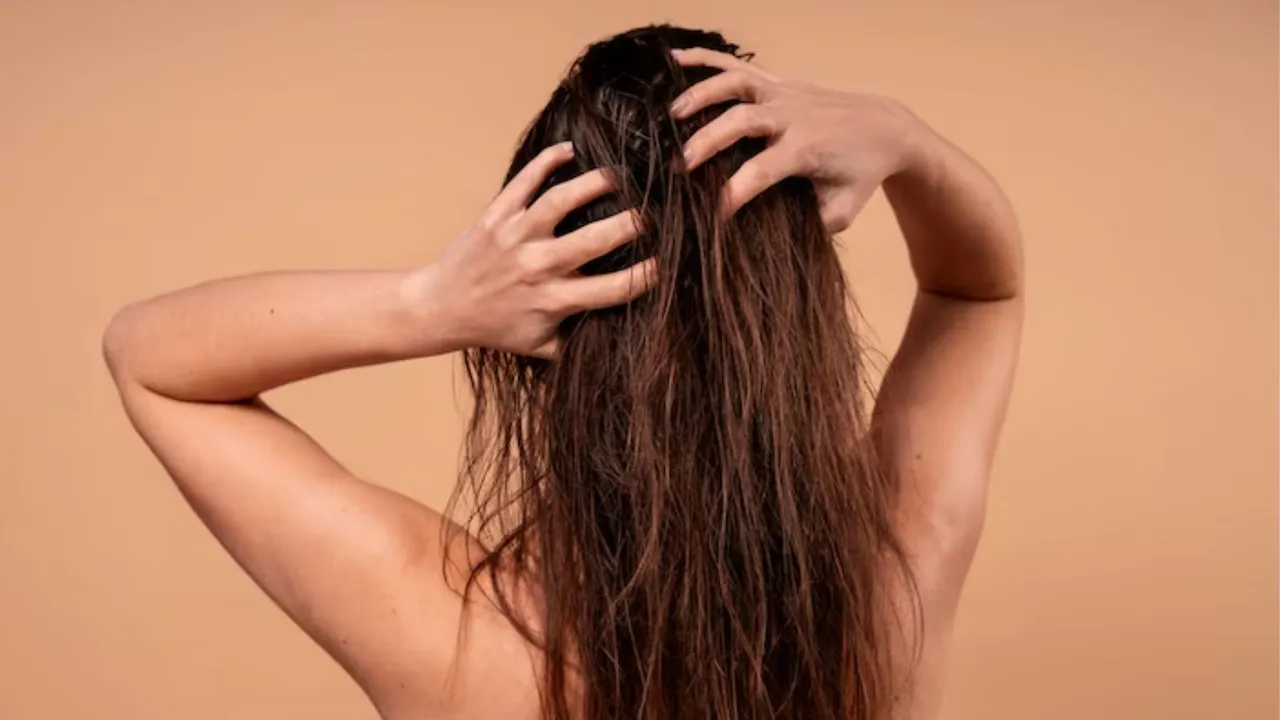 ચોમાસામાં હેરકેર ટિપ્સ | hair care tips for monsoon homemade oil