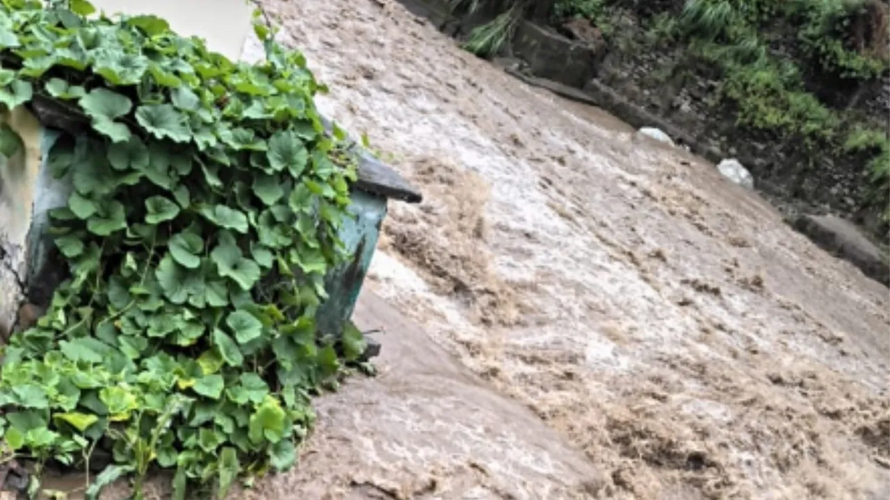 uttarakhand Heavy rain
