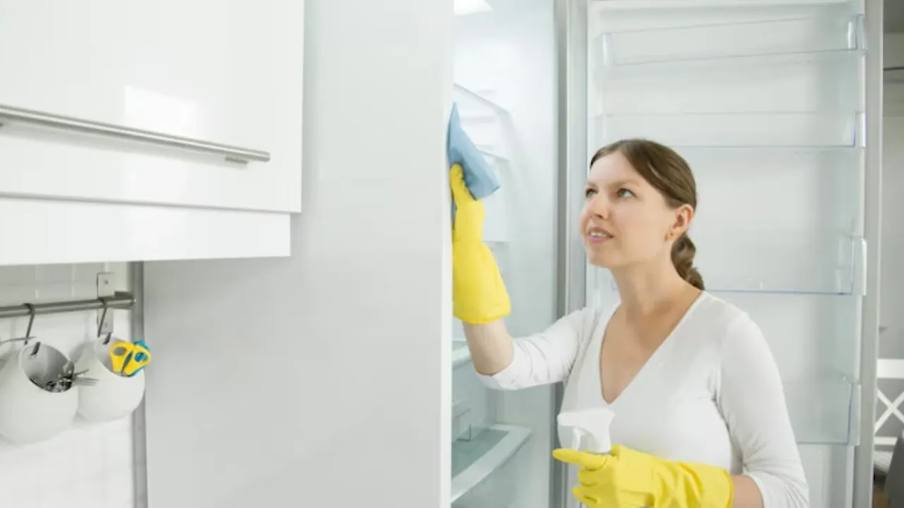 ફ્રિજ સાફ કરવા માટેની ટિપ્સ | Tips for Cleaning Fridge in Monsoon