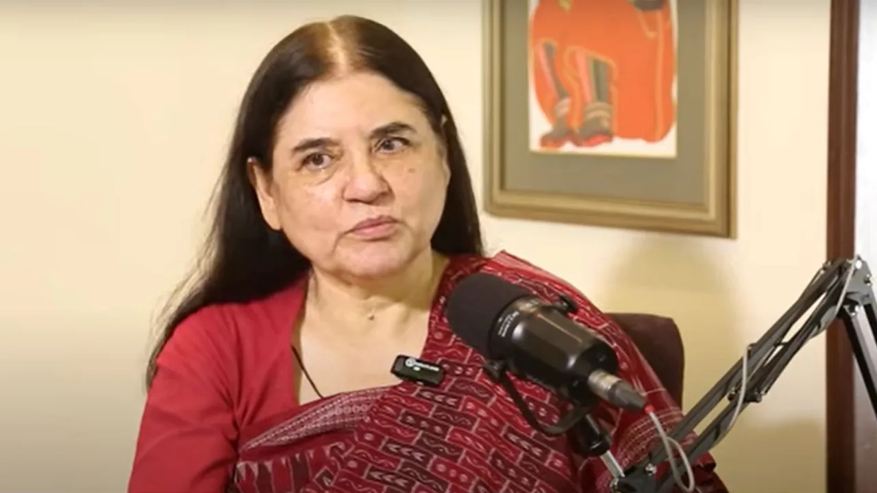 Stray Dogs in Delhi NCR