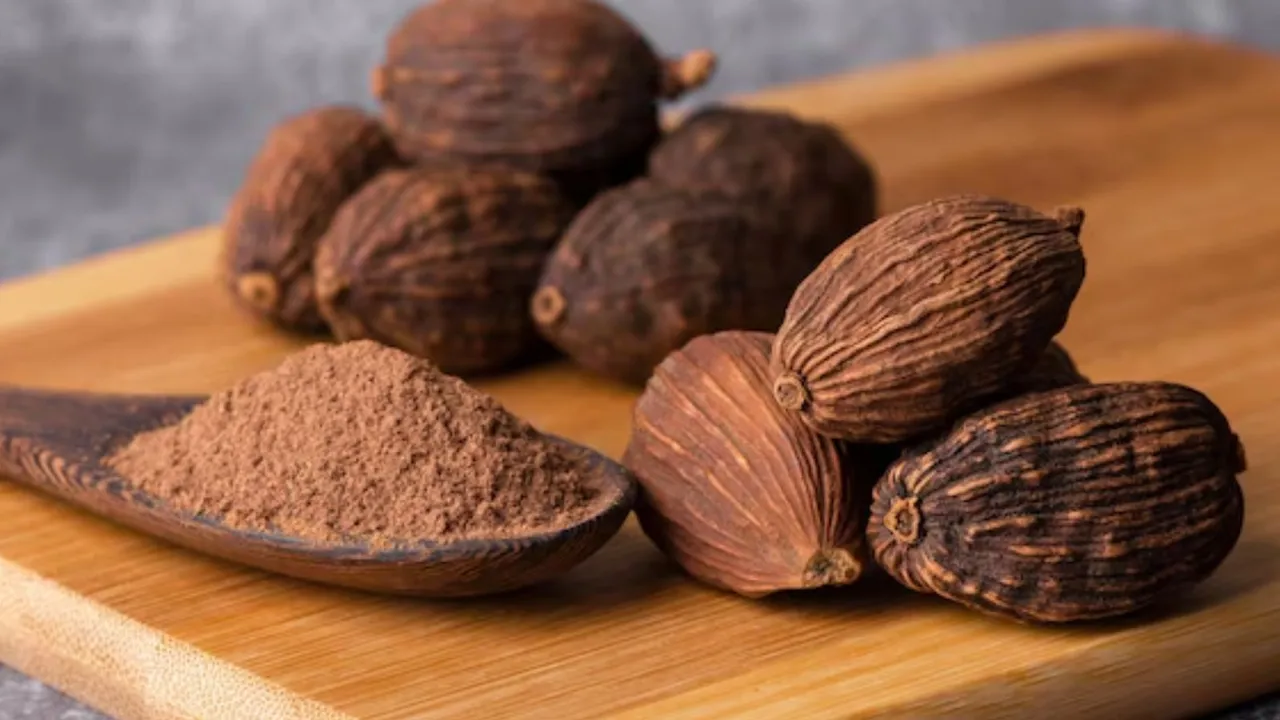 કાળી ઈલાયચી | હેલ્થ ટિપ્સ | કાળી ઈલાયચીના ફાયદા | કાળી ઈલાયચીના સ્વાસ્થ્ય લાભ | કાળી ઈલાયચી ખાવાનું કારણ