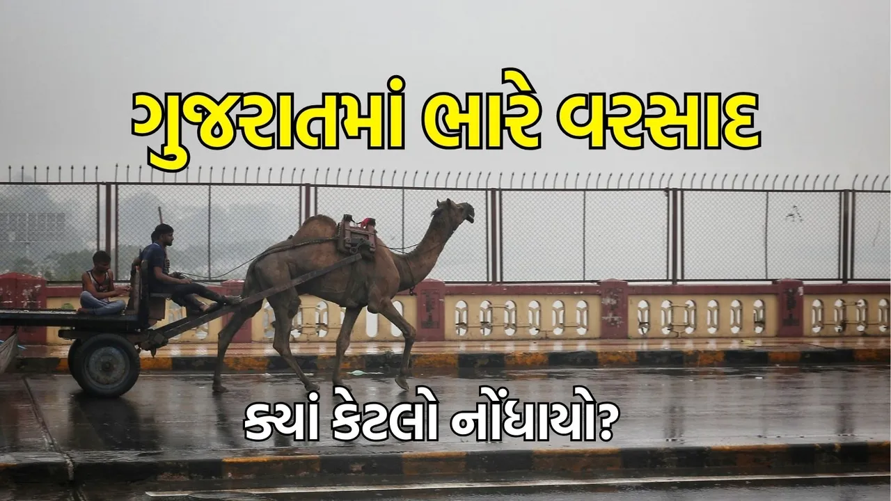 rainfall in Gujarat in 24 hours