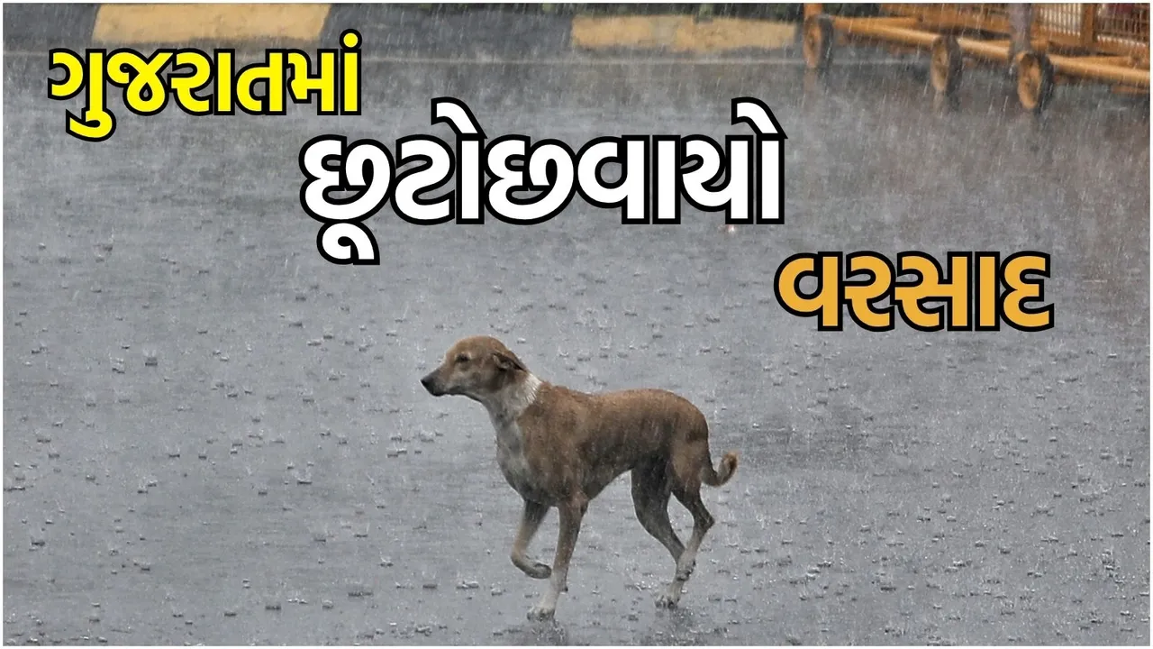 Gujarat Rain Today
