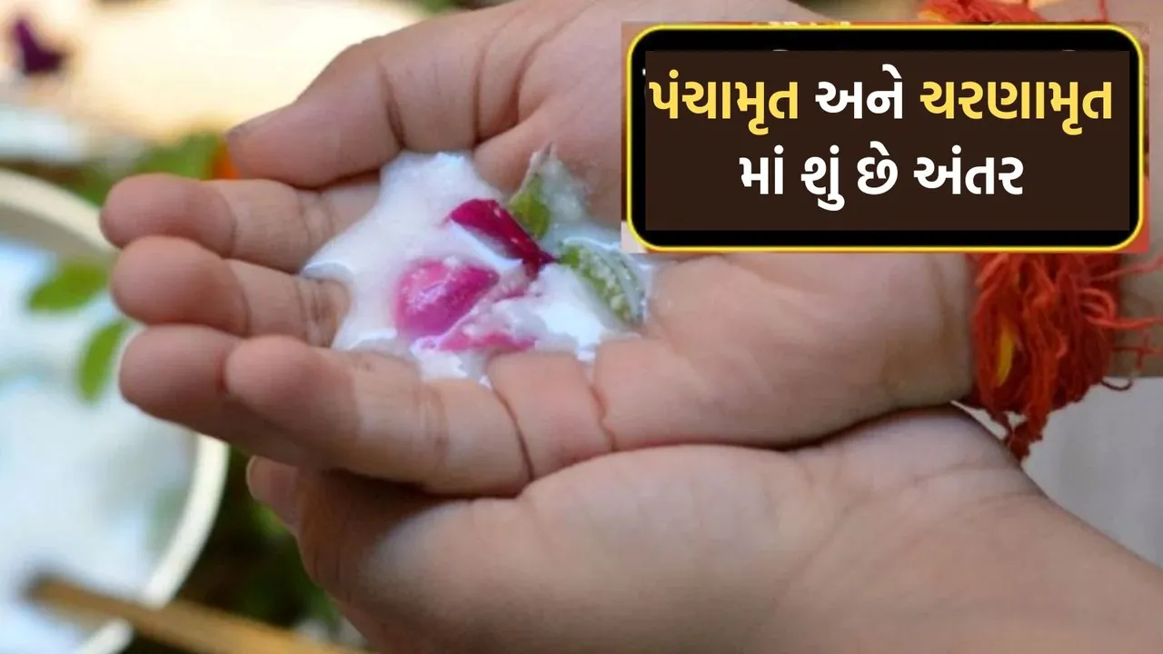Panchamrit aur Charnamrit, પંચામૃત, ચરણામૃત
