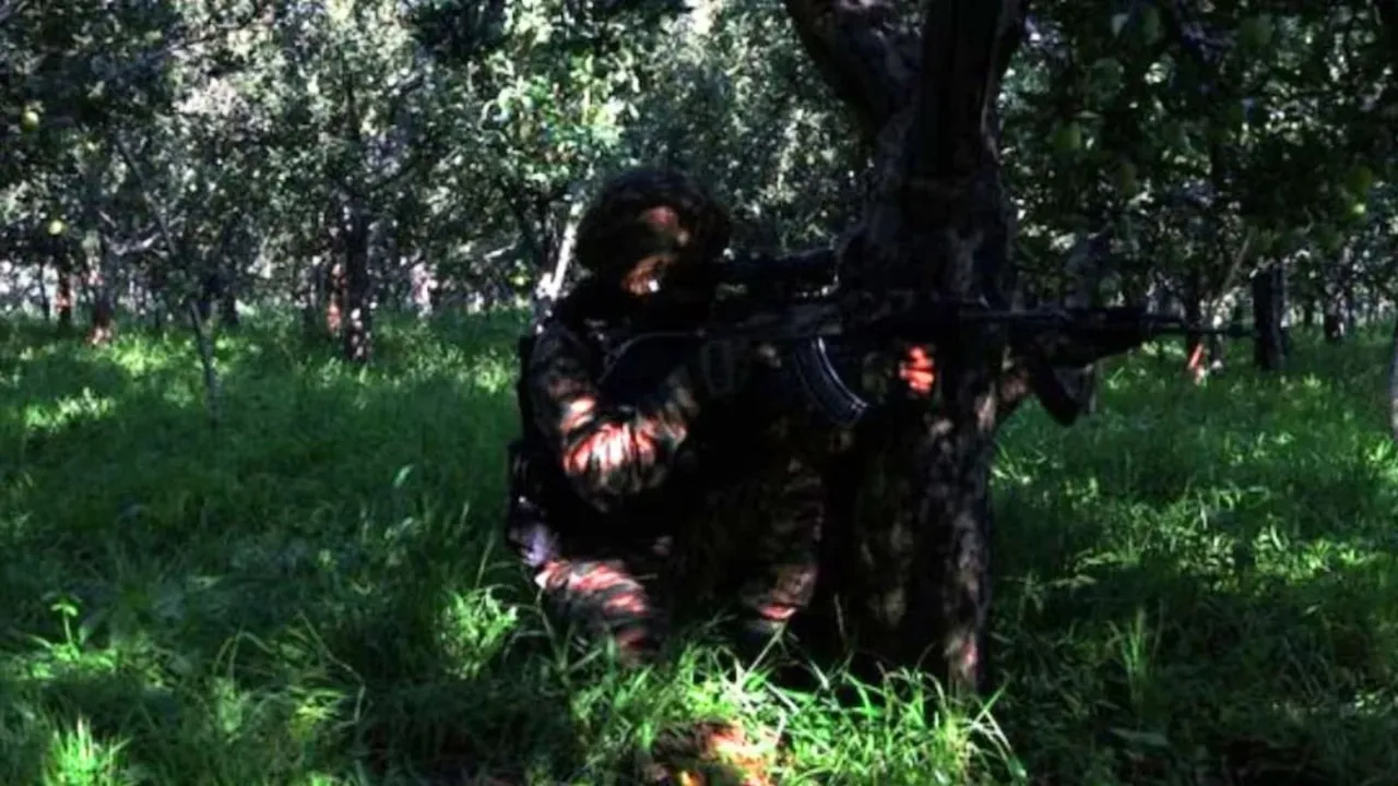 chinar corps | indian army | terrorist kill in kulgam