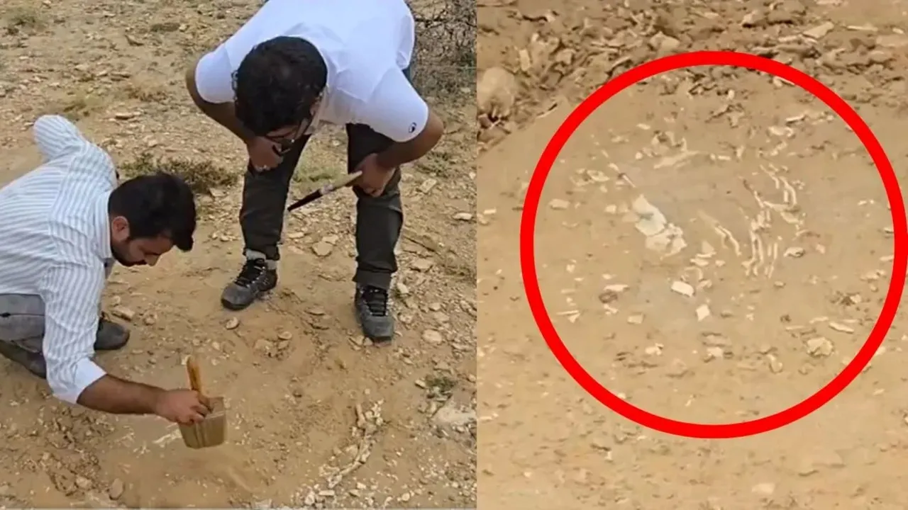 200 million years old, mystery fossil in Jaisalmer deseret