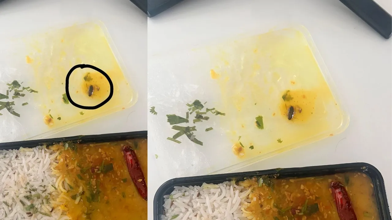 Food Department, Urban khichdi