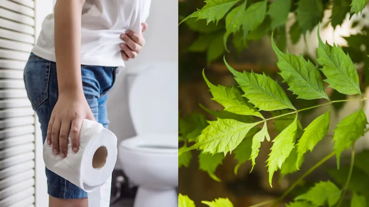 કબજિયાત | કબજિયાત ઘરેલુ ઉપચાર | હેલ્થ ટિપ્સ | કબજિયાત માટે લીમડાના પાનનું સેવન |કબજિયાતમાં લીમડાના પાનના ફાયદો