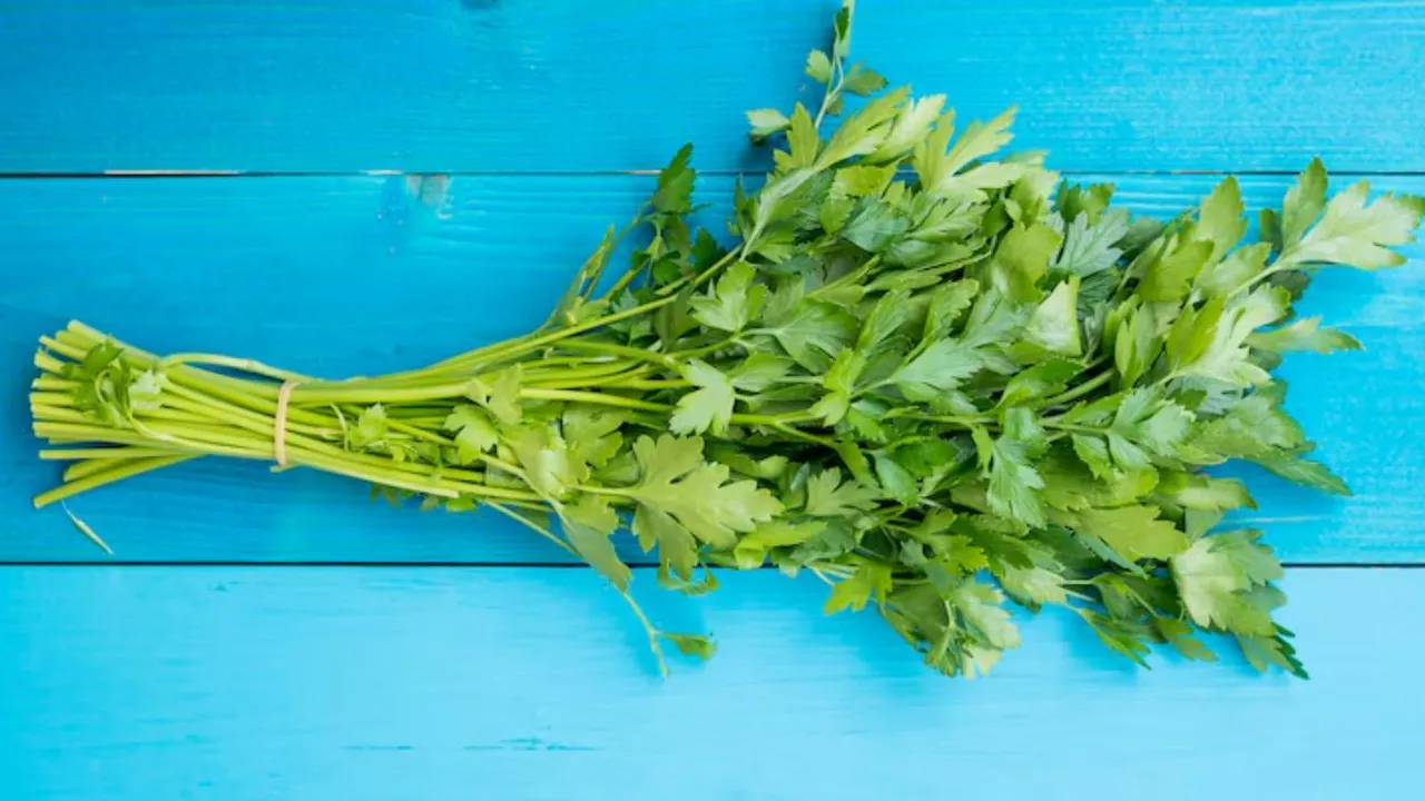 કોથમીર સ્ટોર કરવાની ટિપ્સ | શાકભાજી સ્ટોર કરવાની ટિપ્સ | કિચન ટિપ્સ | રસોડું જુગાડ | કોથમીર લાંબા સમય સુધી ફ્રેશ રાખવાની ટિપ્સ