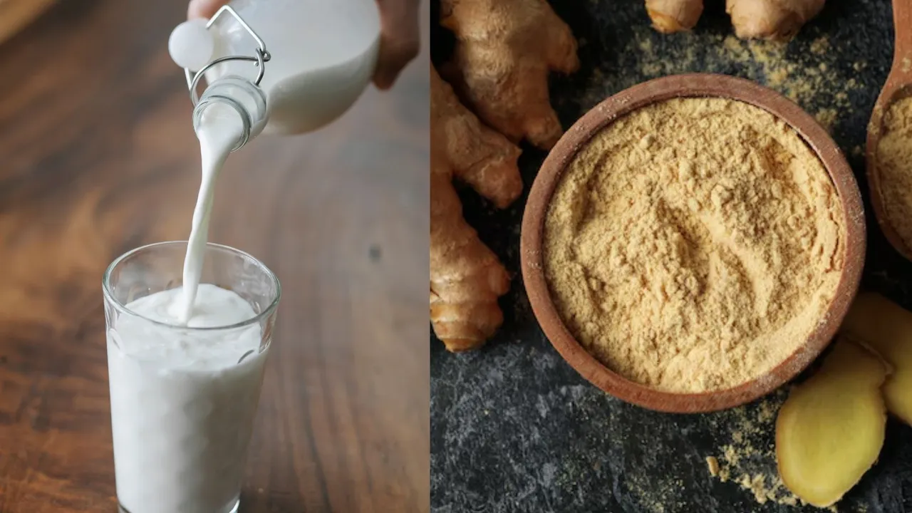 સુંઠ વાળા દૂધના સ્વસ્થ શરીર માટે ફાયદા | રોગપ્રતિકારક શક્તિ ઉધરસ અને પાચન