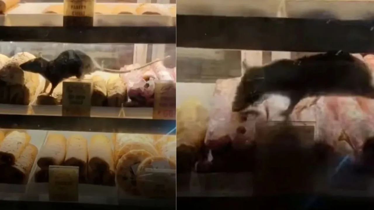 Sealdah railway Station video viral