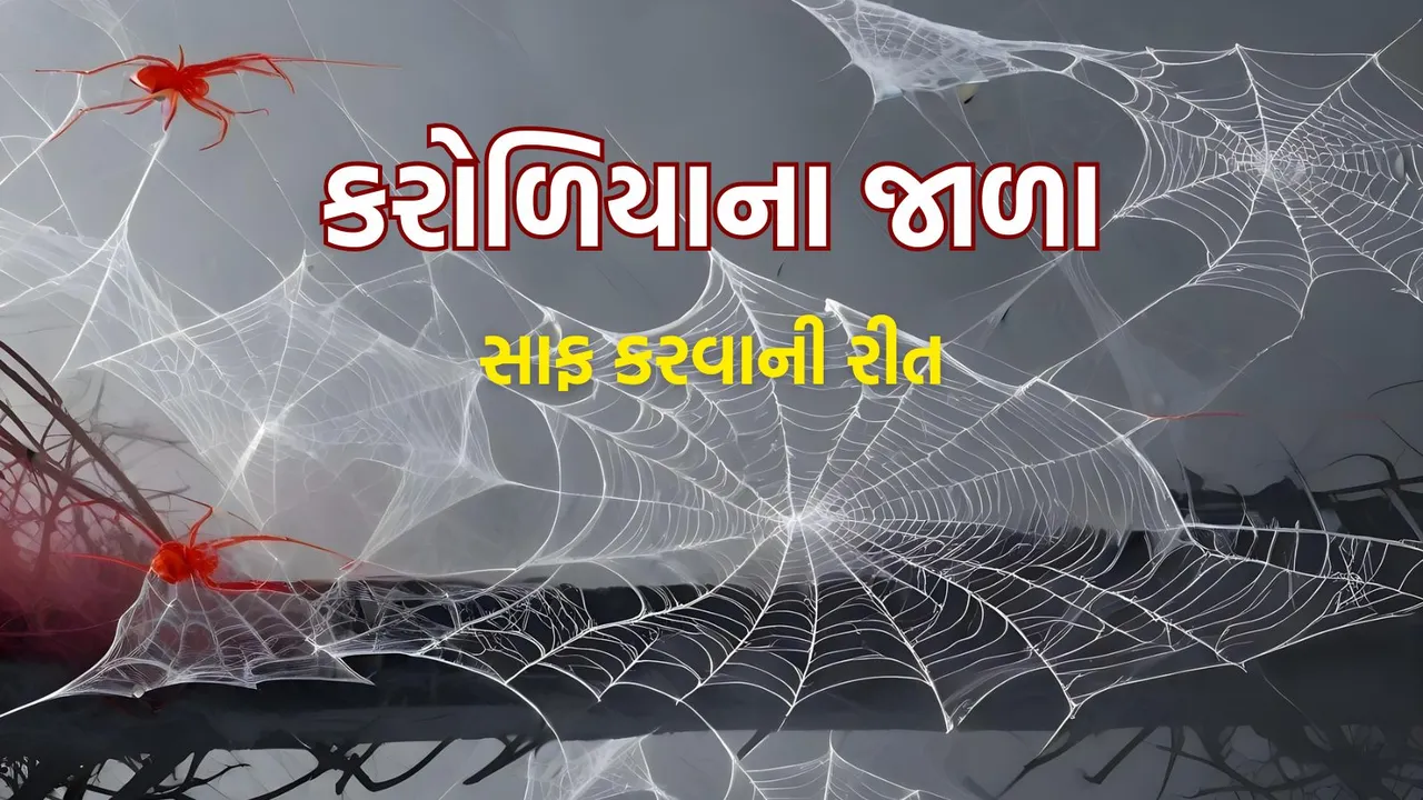 Spider Webs Remove Tips | Spider Webs clean tips | home cleaning tips