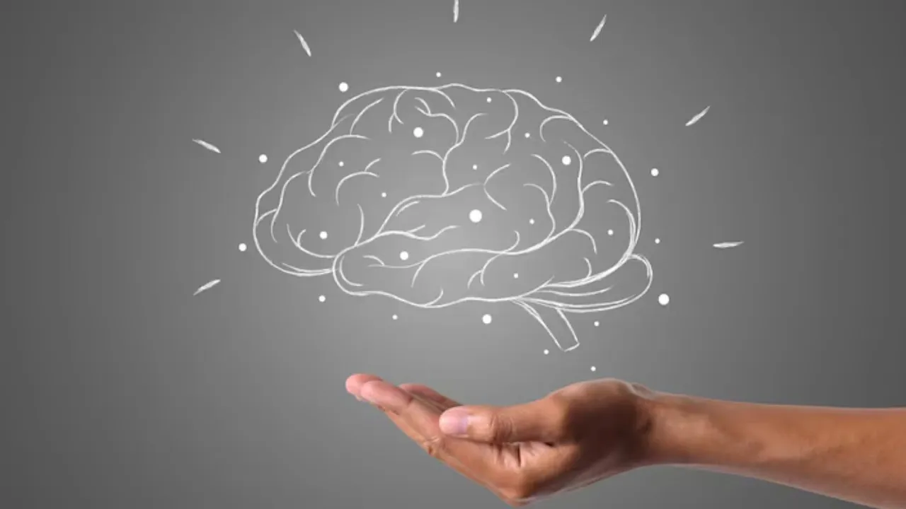 મગજ તેજ રાખવાની ટિપ્સ હેલ્થ ટિપ્સ યાદશકિત વધારવાની ટિપ્સ