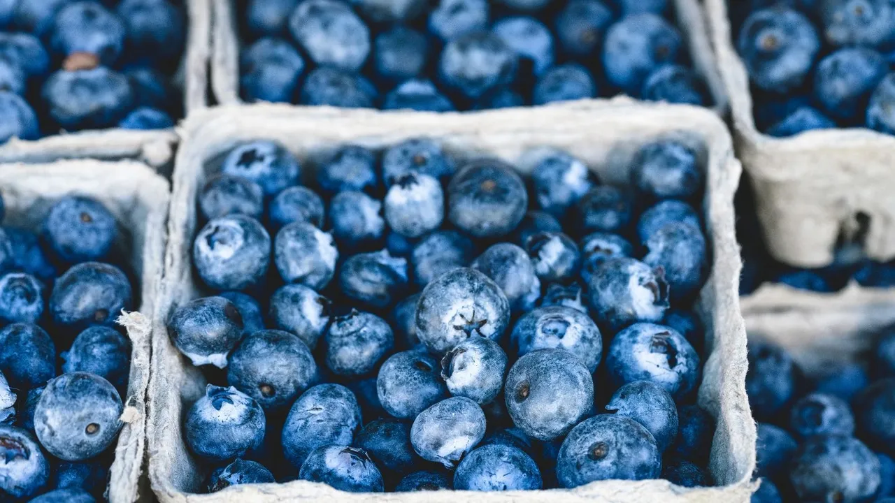 benefits of eating blueberries