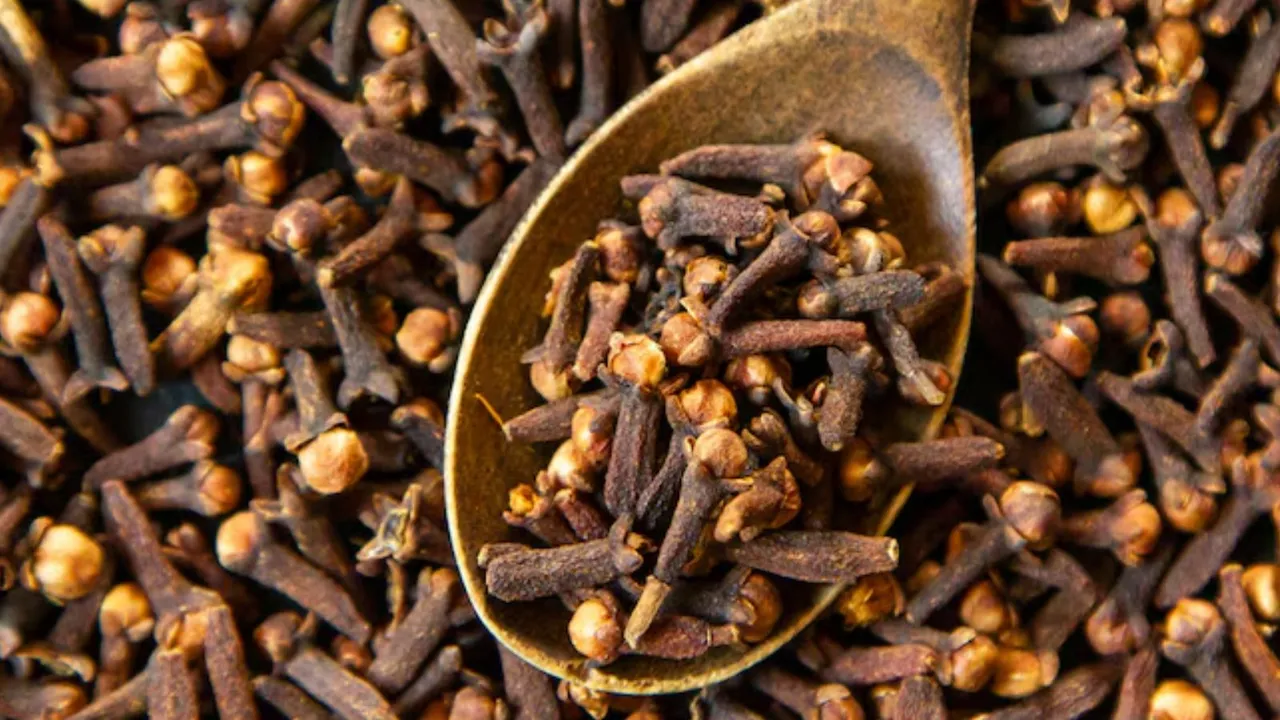 લવિંગ | લવિંગના ફાયદા | લવિંગના સ્વાસ્થ્ય લાભો | સૂતા પહેલા લવિંગ પાણી પીવાના ફાયદા | લવિંગની આડઅસરો | હેલ્થ ટિપ્સ