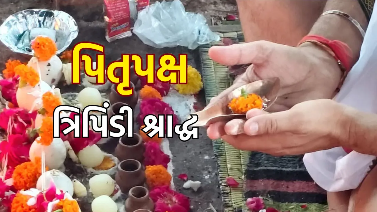 pitru paksha 2025 | pitru paksha | tripindi shradh vidhi | tripindi shradh In pitru paksha