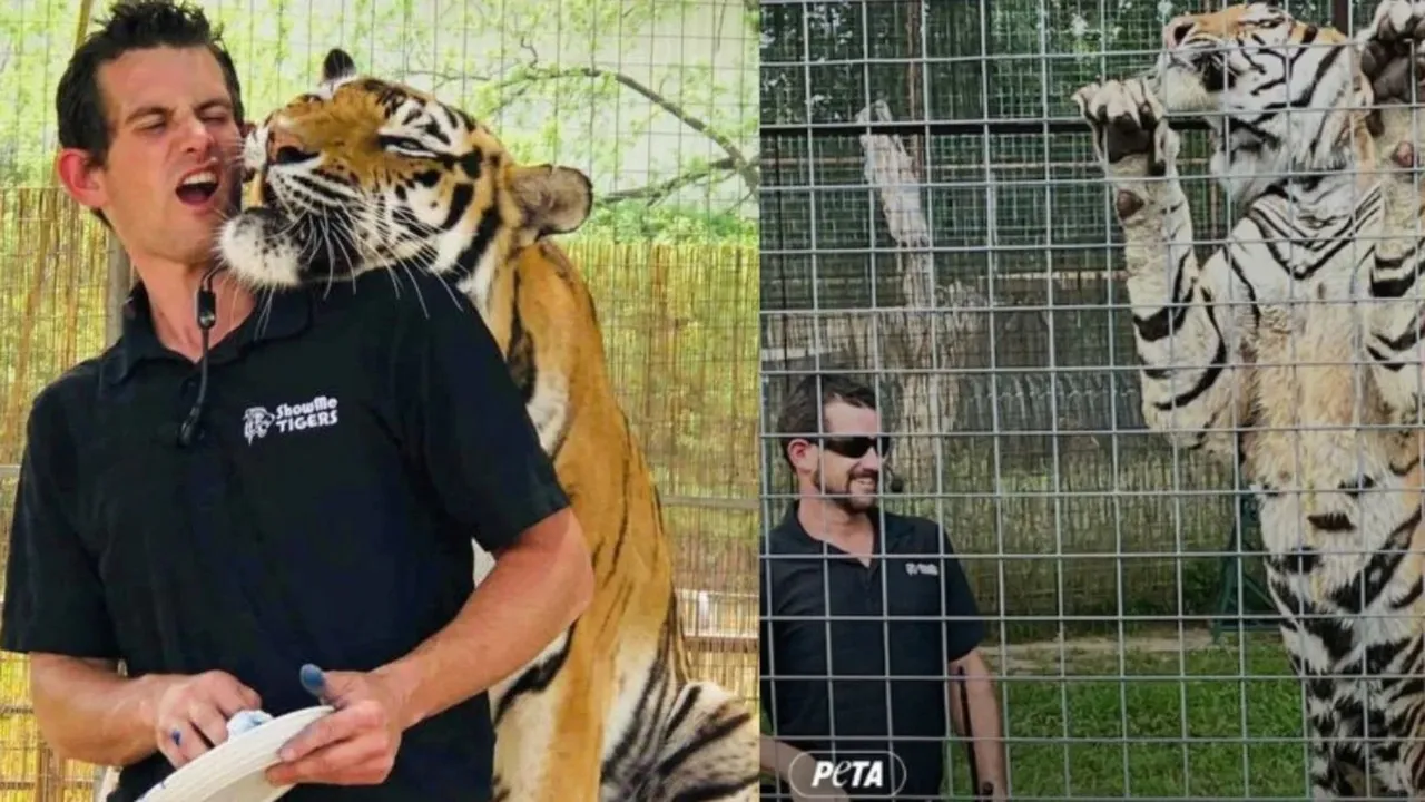 wildlife news, jungle news