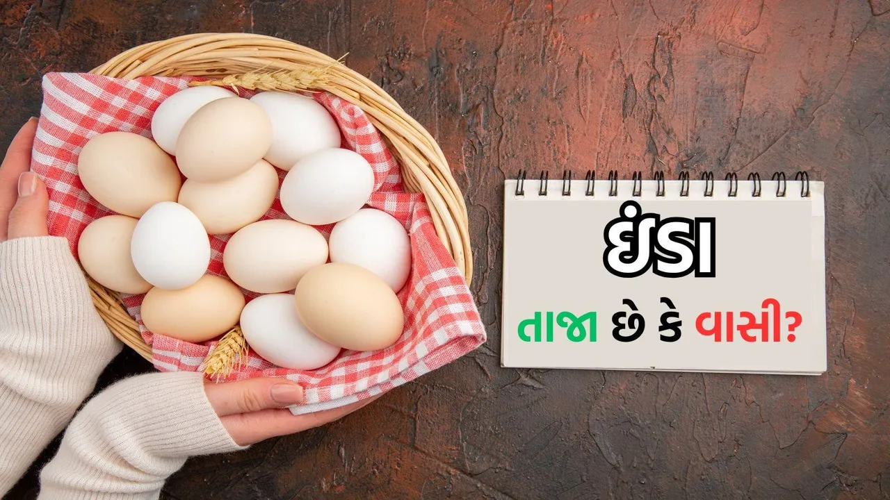 Egg Freshness Test At Home | Egg Freshness Test In Water | Egg Fresh or not |