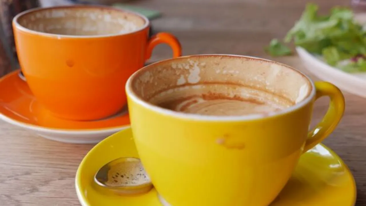 Best tea cup cleaning machine tips