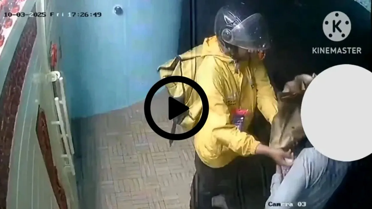 blinkit delivery boy, વાયરલ વી઼ડિયો