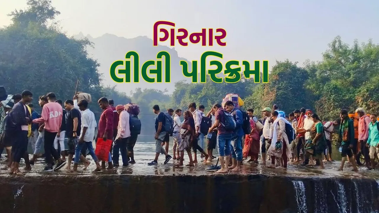 Girnar Lili Parikrama 2025 | Girnar Parikrama 2025 | Girnar Parikrama | Girnar Hills