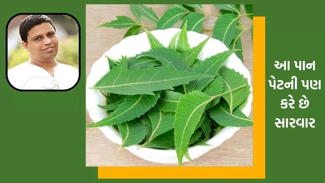 neem benefits