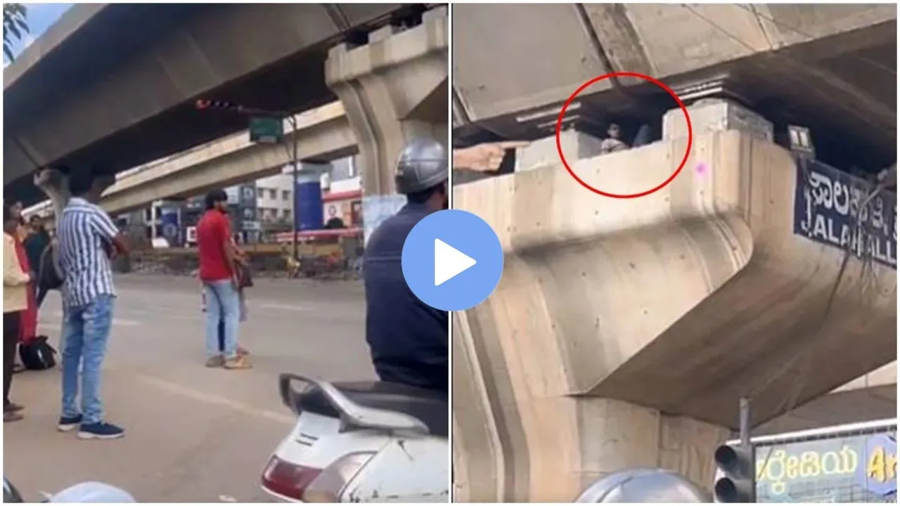 viral video, social media