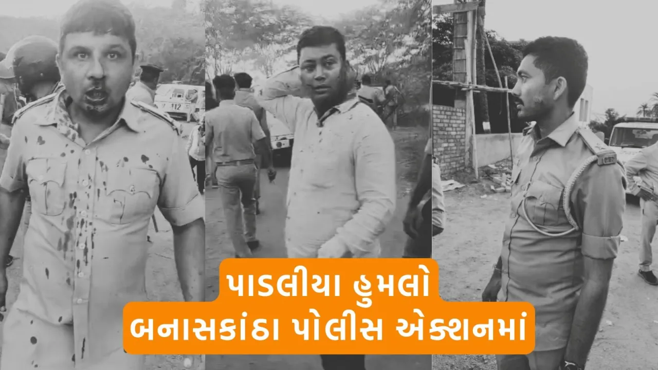 Ambaji crime, Padaliya village