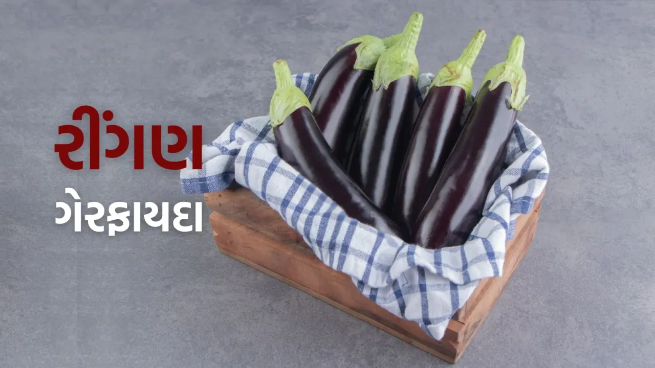 Brinjal Side Effects | Brinjal | Brinjal Recipe | Brinjal Benefits | brinjal disadvantages