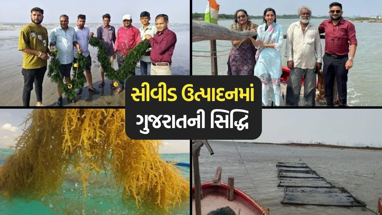 Vibrant Gujarat Regional Conference