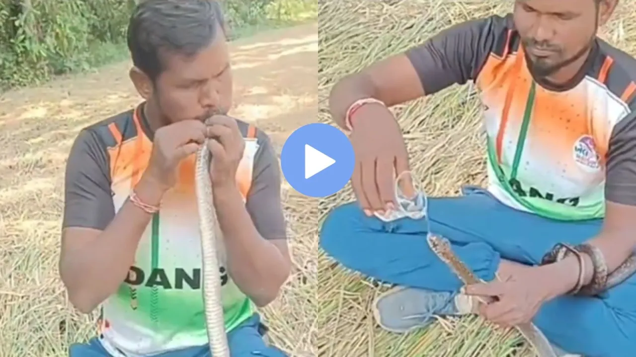 Snake rescue, snake rescue viral video
