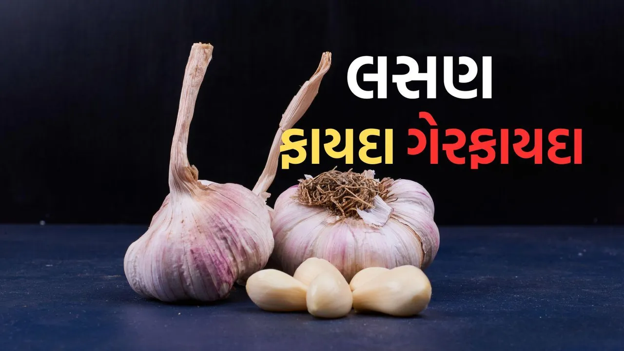 Health Benefits Garlic | Garlic Benefits | Garlic Side Effects | empty stomach garlic benefits