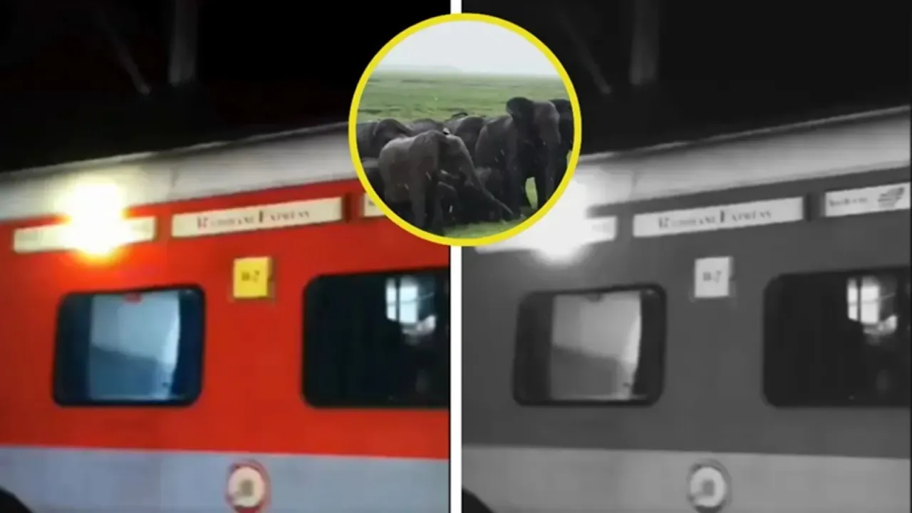 Rajdhani Express hit elephants
