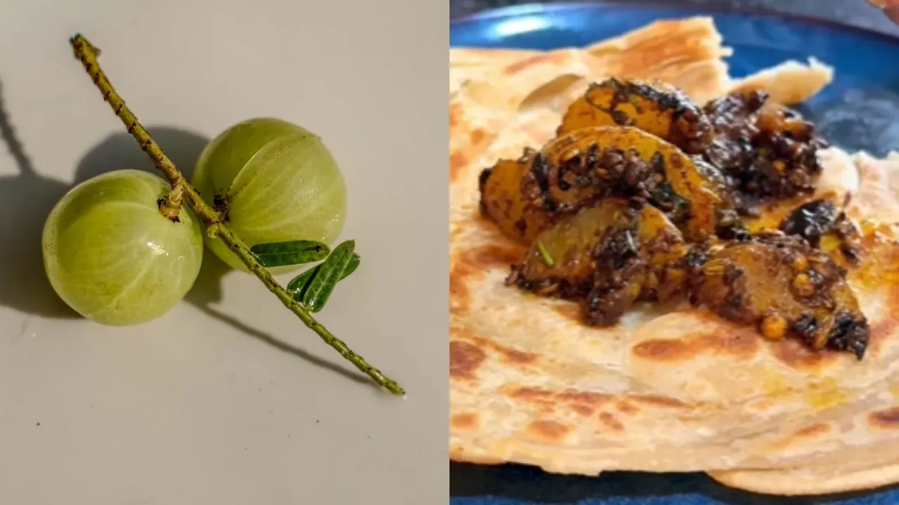 આમળાનું ખાટું મીઠું શાક રેસીપી। Winter special Amla nu khatu mithu shaak recipe in gujarati