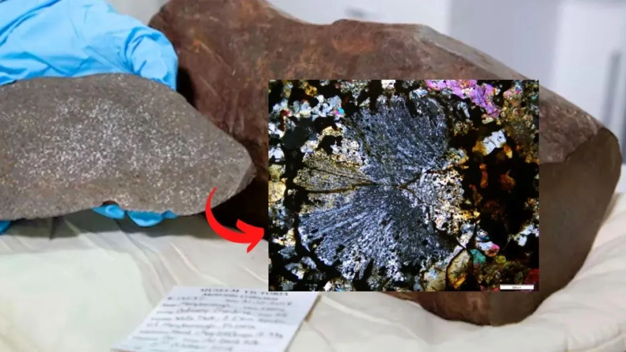 Science news gold stone discovered rare meteorite