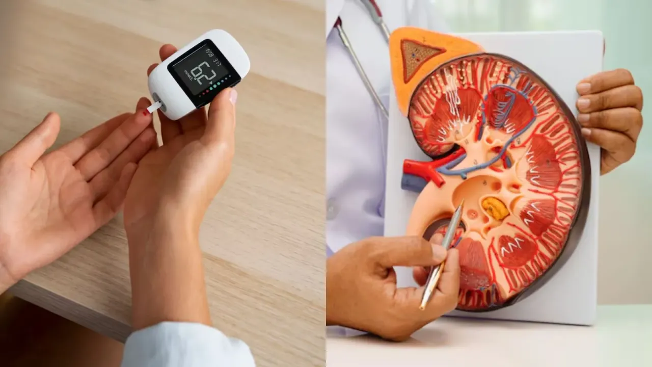 ડાયાબિટીસ દર્દીઓમાં કિડની ફેલ્યોરના સંકેતો હેલ્થ ટિપ્સ। signs of kidney failure in diabetic patients tips in gujarati