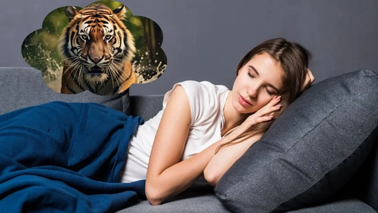 tiger dream iterpretation