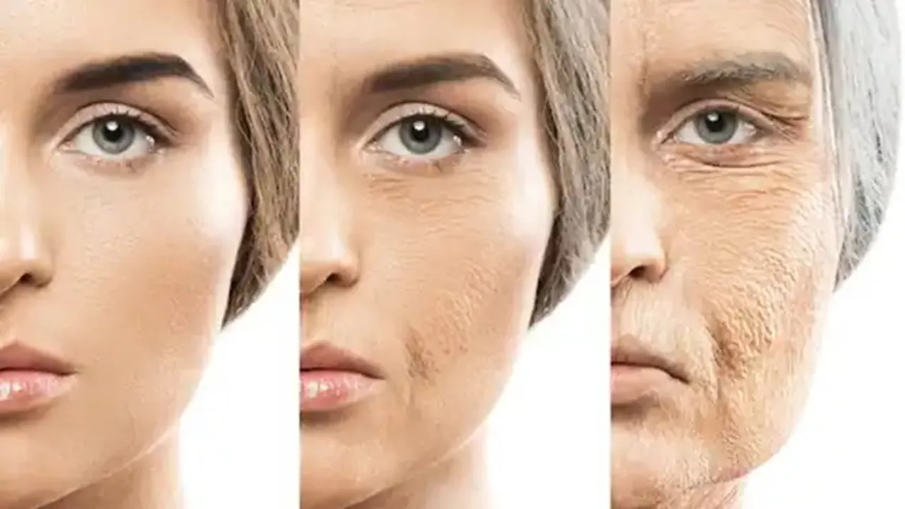 Ageing | Ageing Health News