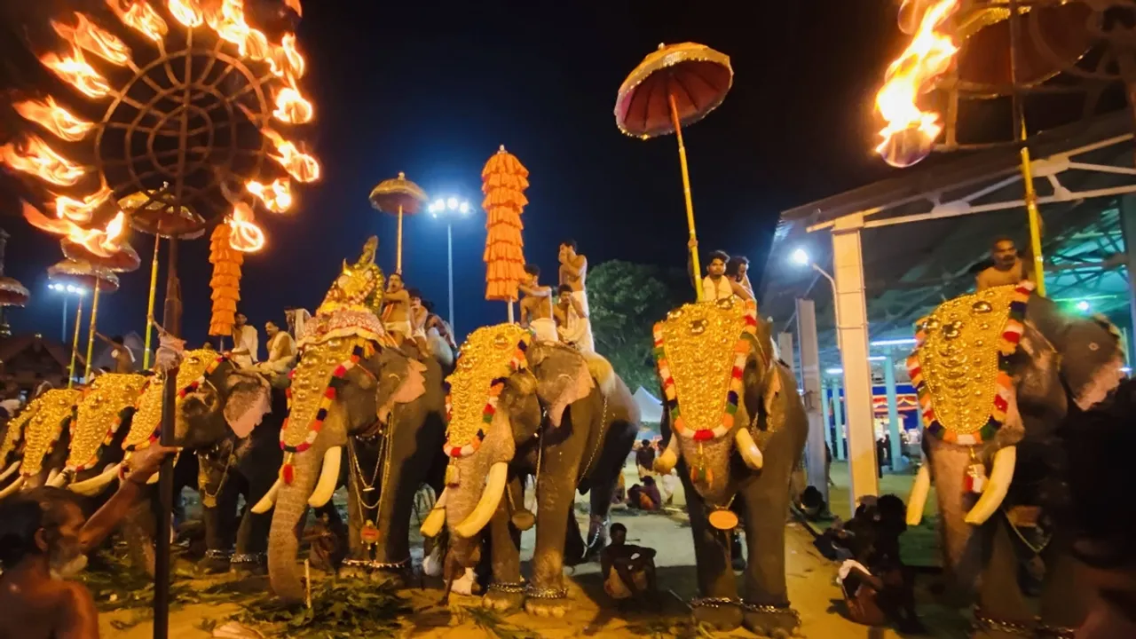 Elephant, Elephant Procession
