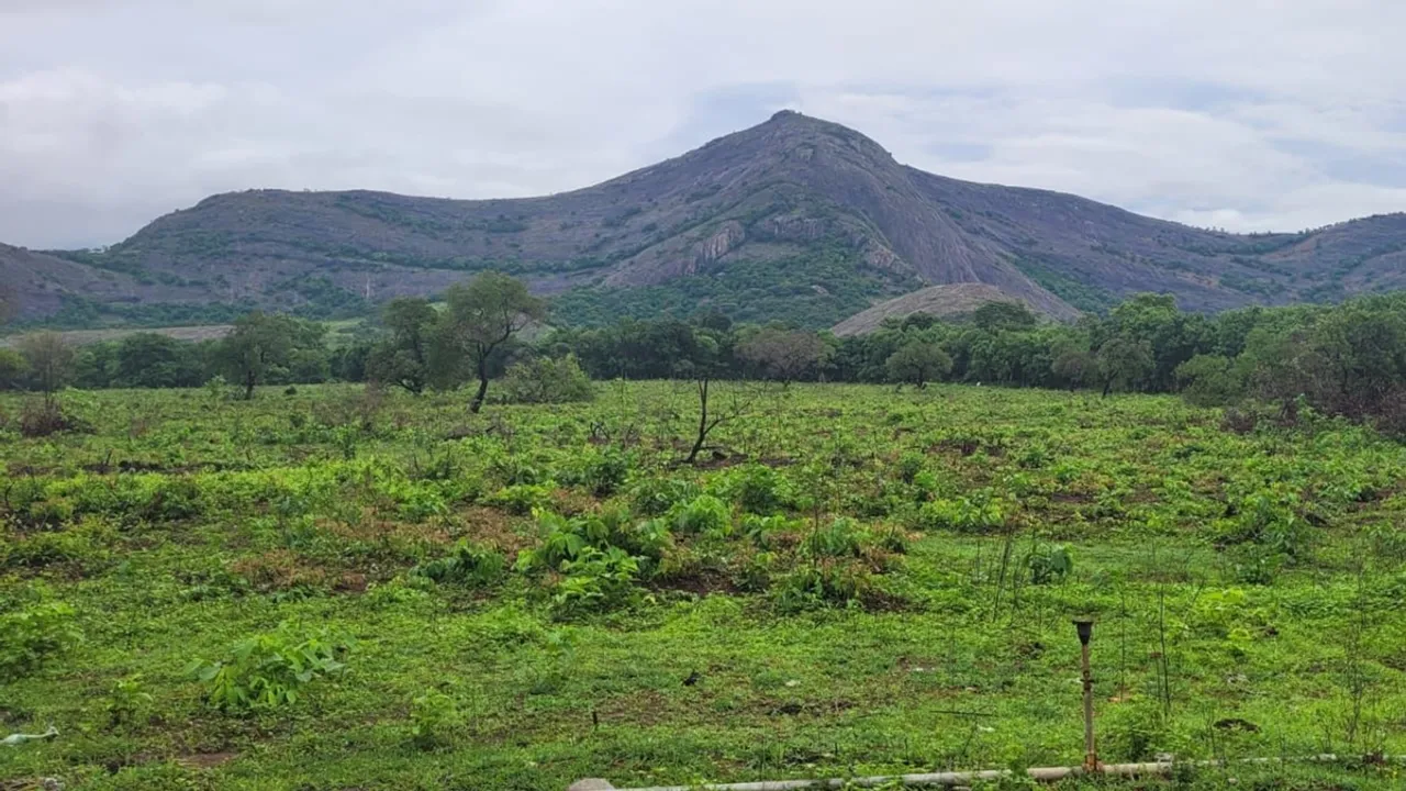 Palakkad Sports hub Stadium 