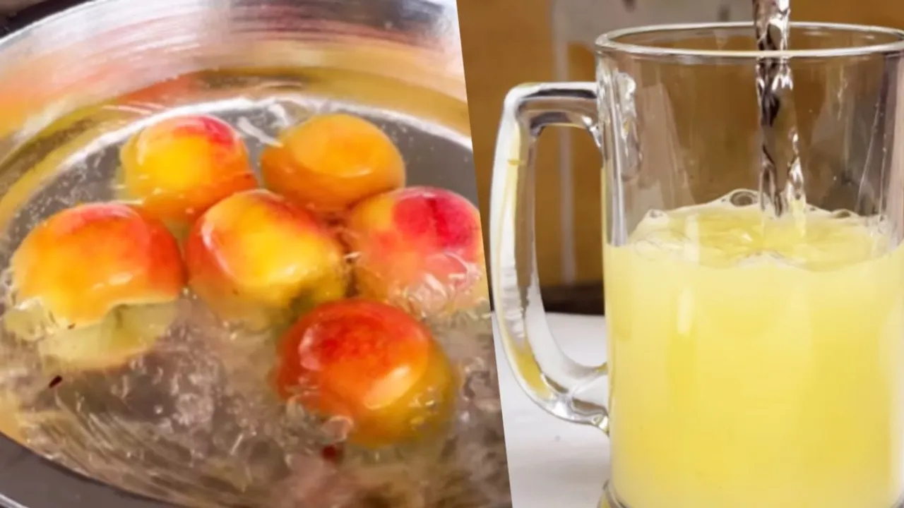 Apple Juice Instant Recipe