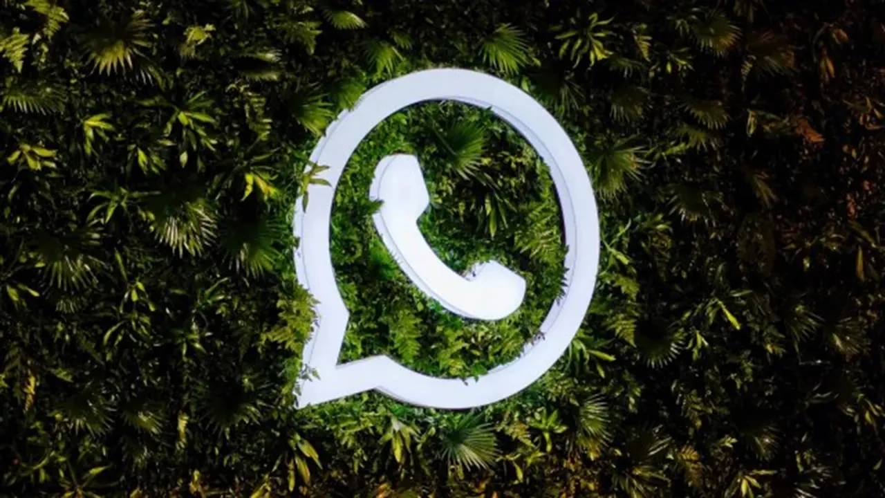WhatsApp, WhatsApp New 