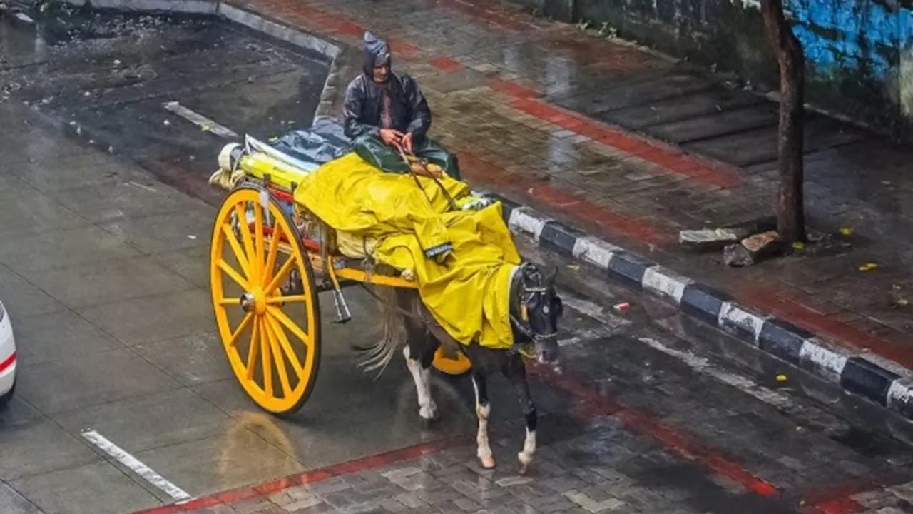 Rain, Karnataka Rain,