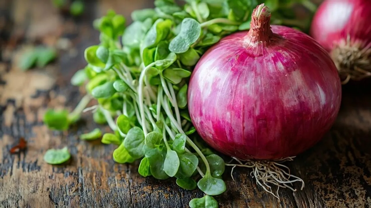 Hair Care With Onion Oil