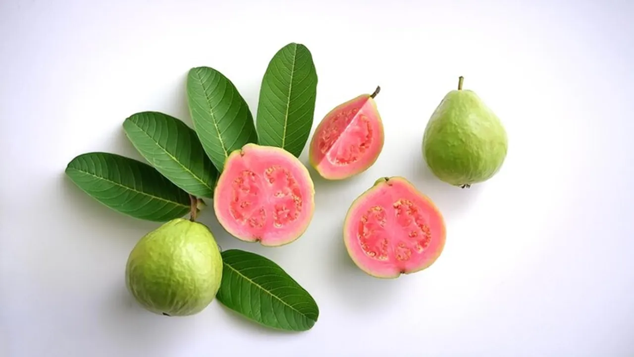 Benefits Of Chewing Guava Leaves Daily 