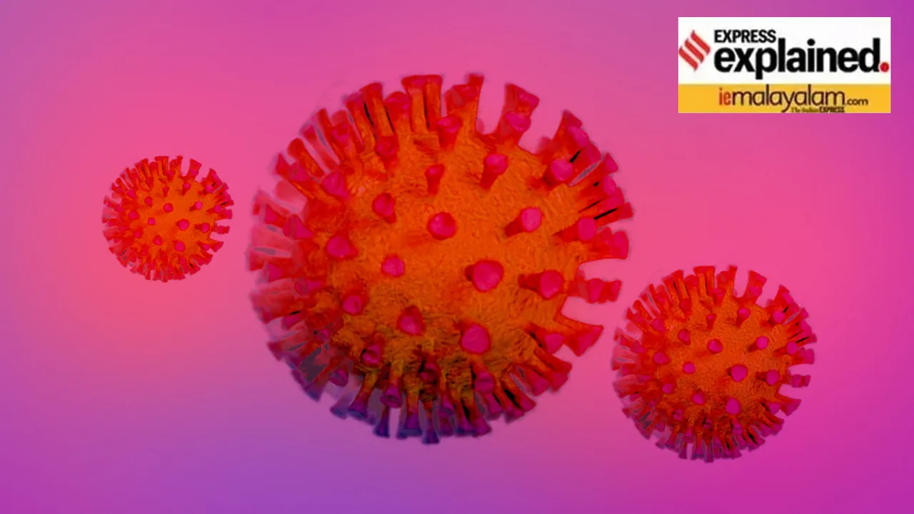 HMPV Virus