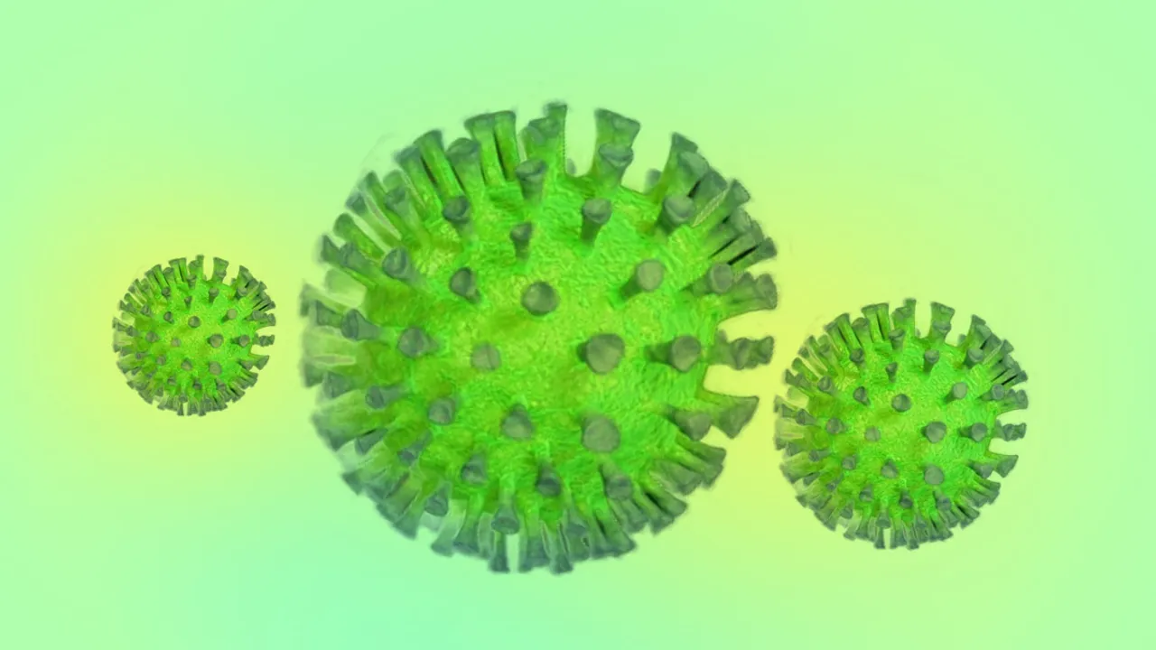 HMPV Virus
